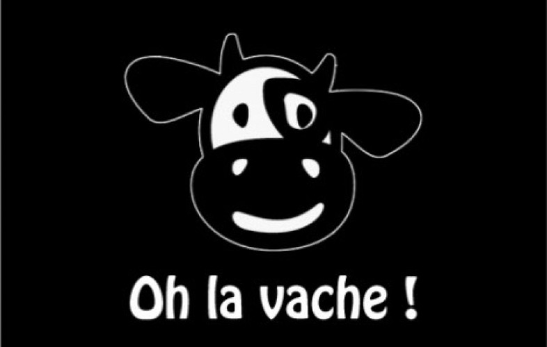 Ohla vache