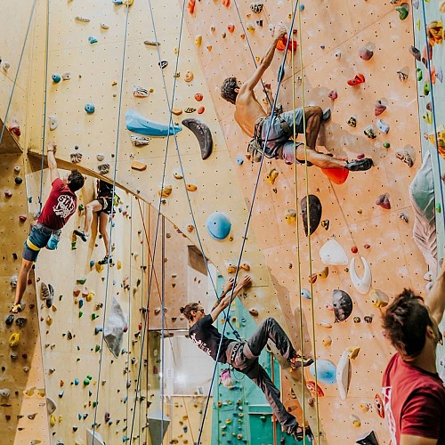 120091973_1479939168866479_4065383370074166324_n