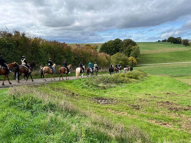 Cercle-equestre-belle-vue1