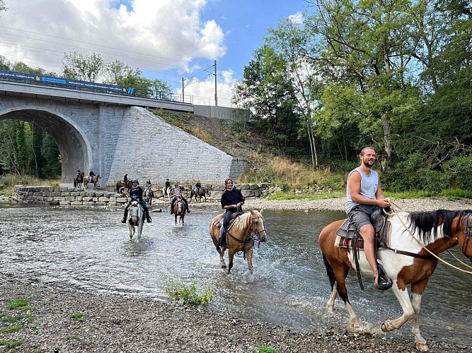 Cercle-equestre-belle-vue1