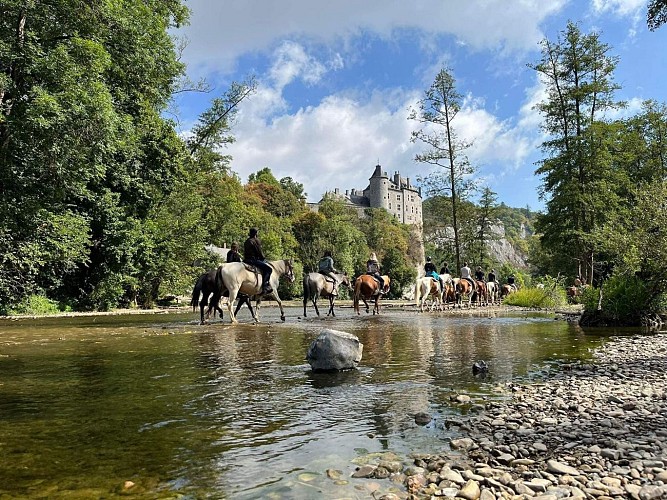Cercle-equestre-belle-vue1