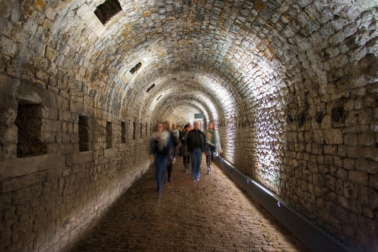 Citadelle5 (c)Vincent Ferooz, Pixel Komando