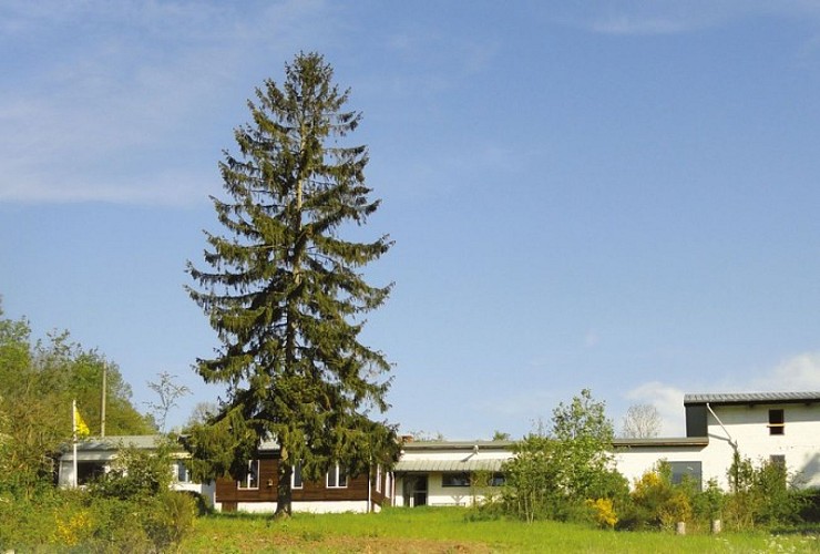 Centre-educatif-jalna