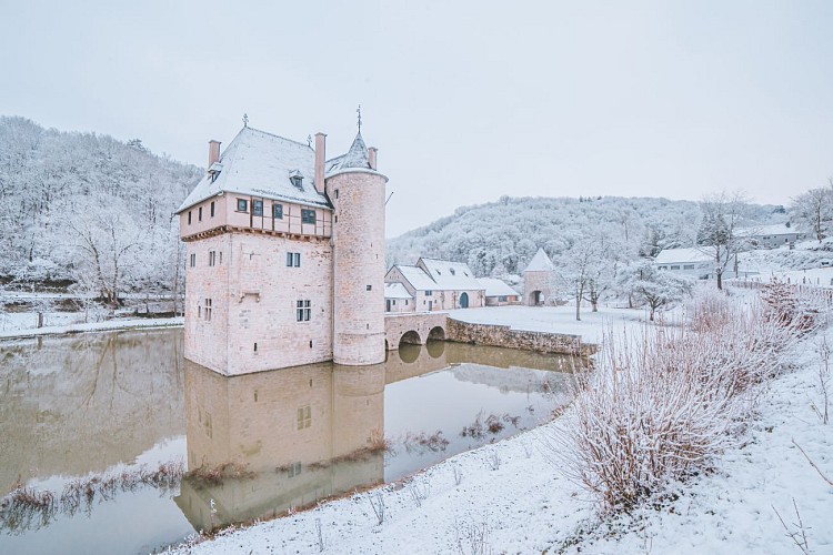 Crupet-neige-HQ (11 of 38) Copyright Bernard Dacier