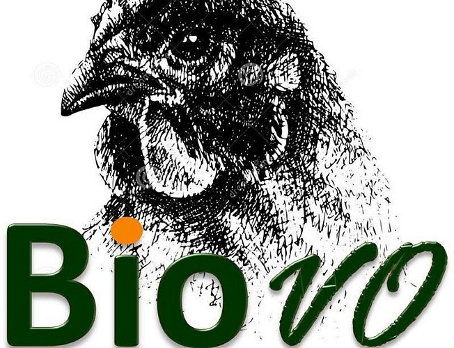 Biovo