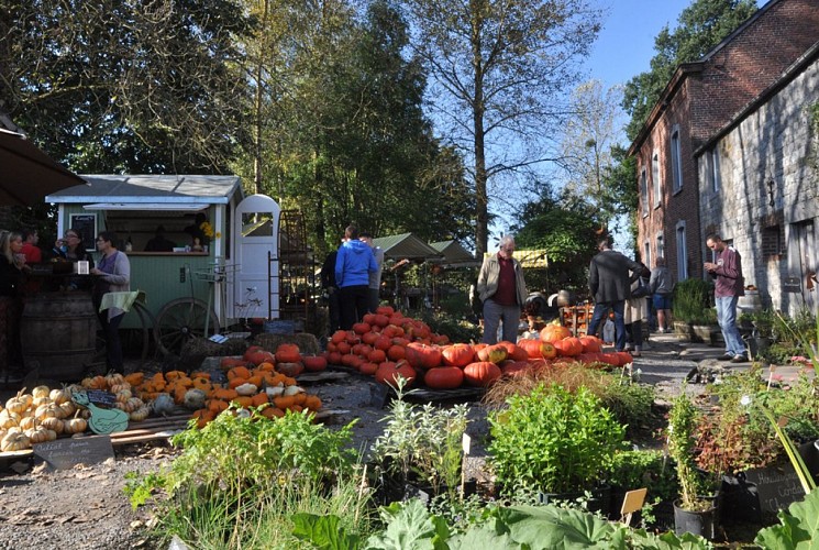 Fête des Courges 2016  - 1