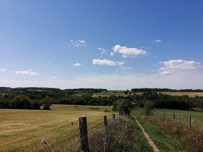 Maison_Rose_Scy_paysage_1