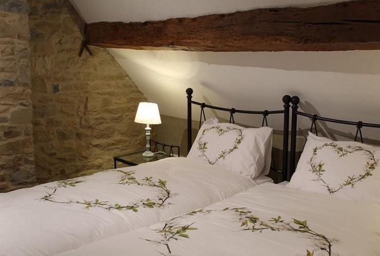 Puits-charmant-schaltin-chambre