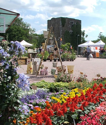 Château d'Oupeye : Fleurs et plantes au château
