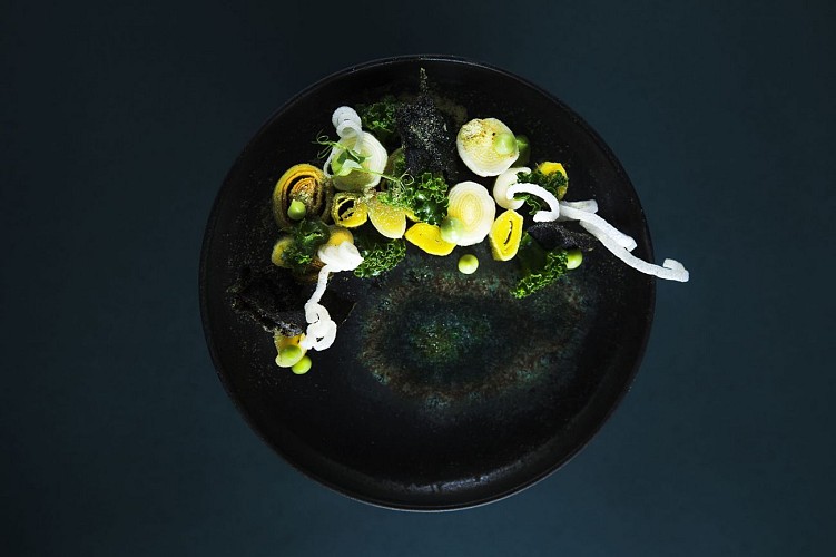 LS_HI_OdeVie_LOT1_JPG_HD-9