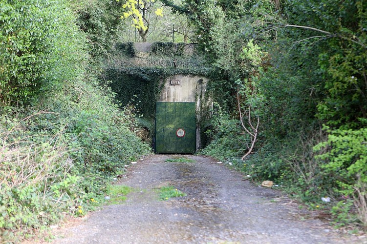 Fort de Liers - Porte