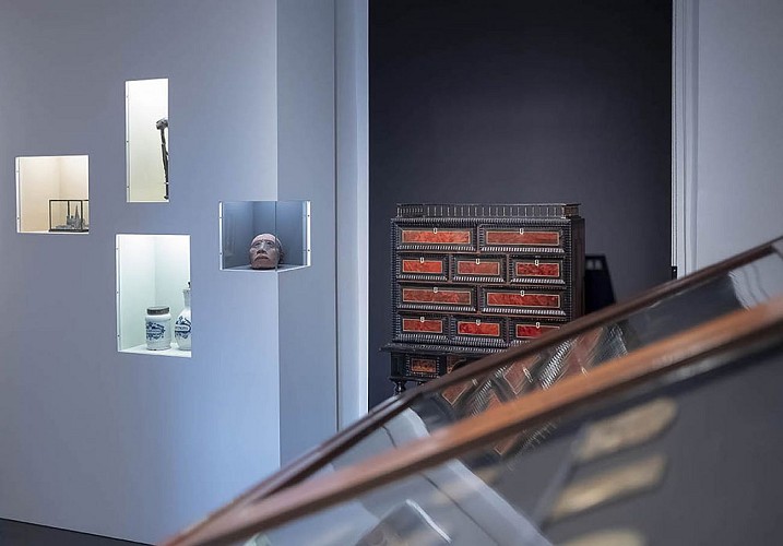 Musée Wittert - Salle d'exposition