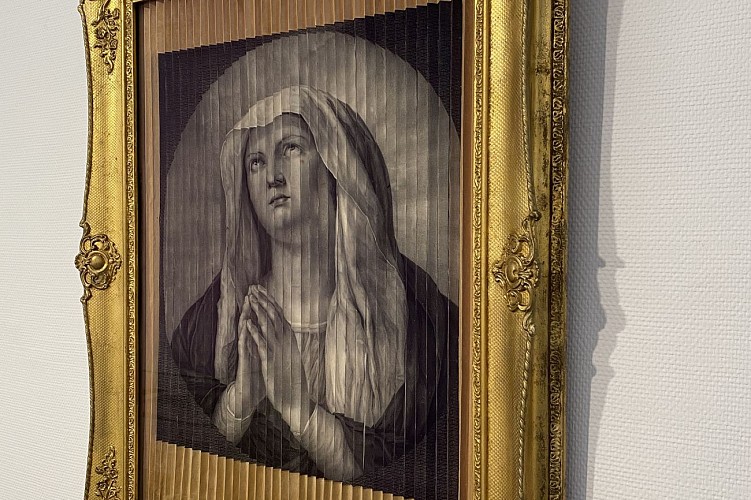 Musée Wittert ULiège