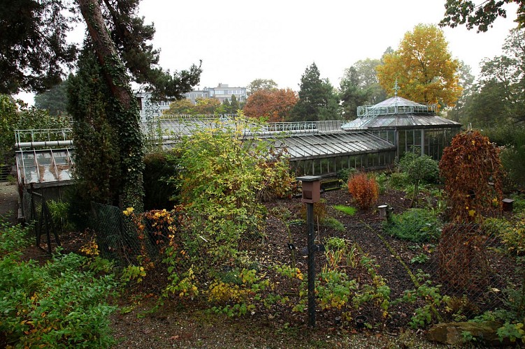 Liège - Serres du jardin botanique - vue générale