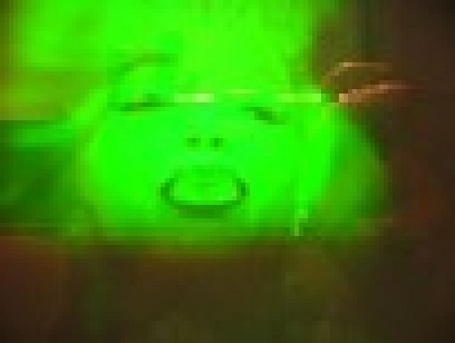 Hologramme_IMG.JPG