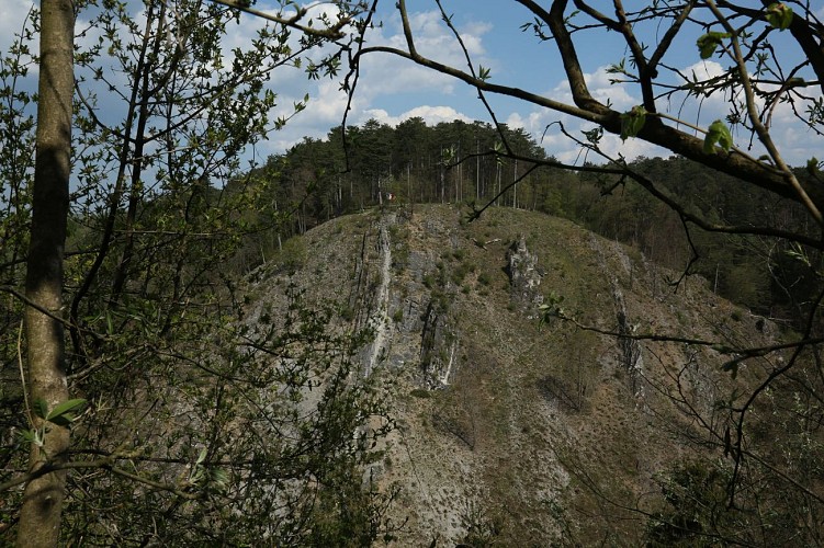 Coïsse-Hamoir 062A6494 ©FTPL P.Fagnoul