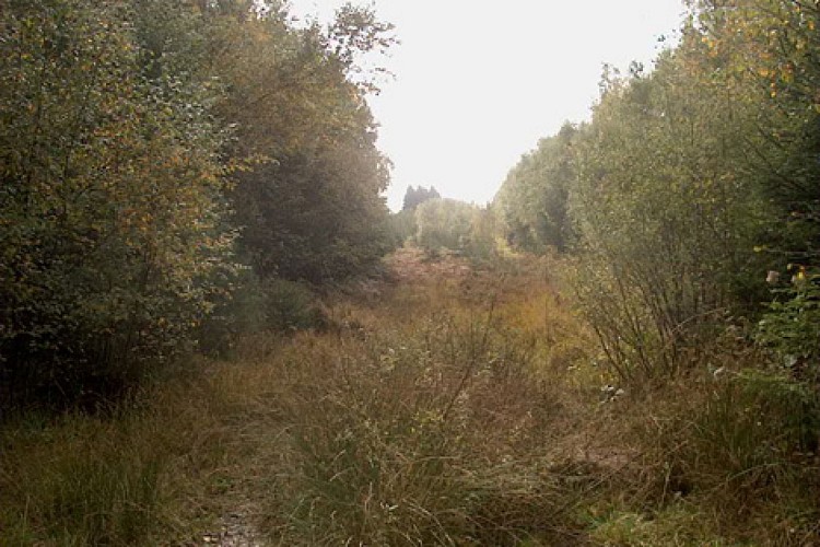 Réserve naturelle de Wésomont