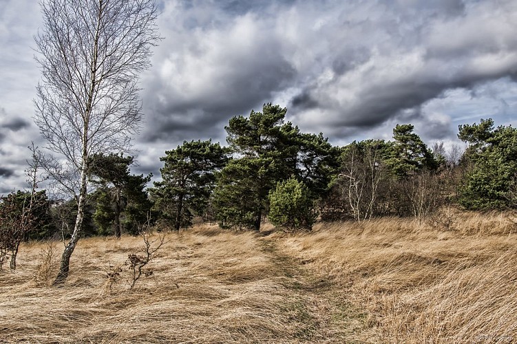 Balade Bois les Dames - Chaudfontaine - vue avec ciel très nuageux