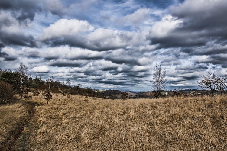 Balade Bois les Dames - Chaudfontaine - Vaste plaine et ciel nuageux