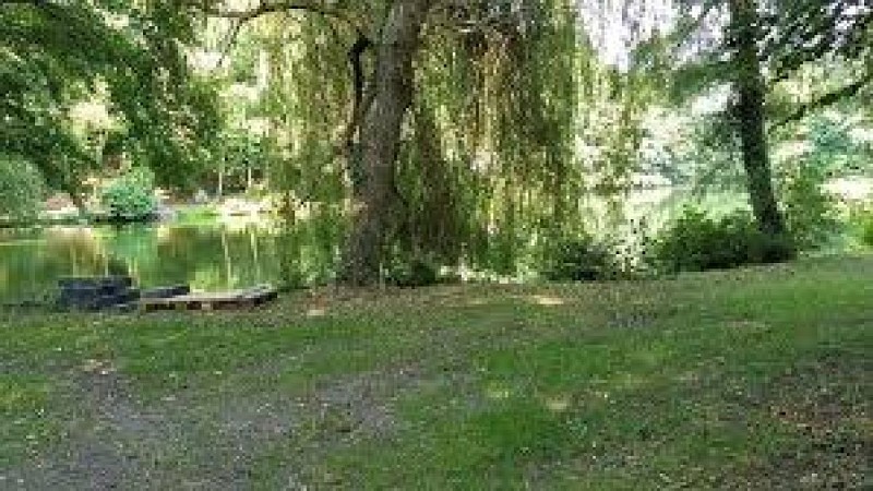 Pêcherie de Wachiboux