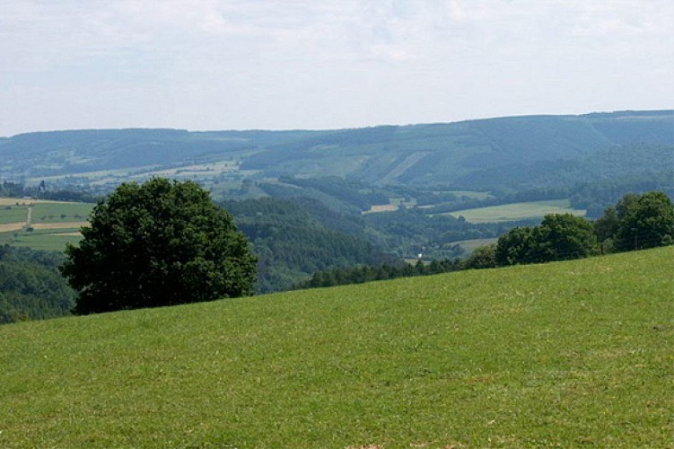 Point de vue sur le Congo
