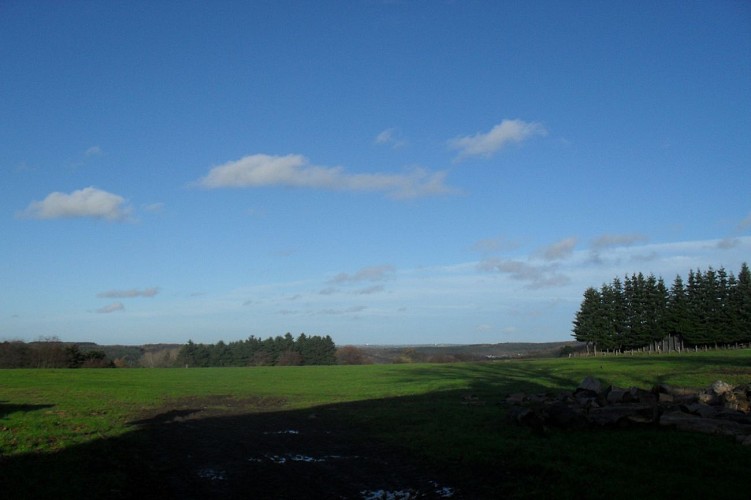 Maison Petits Loups - Sprimont - Vue paysage