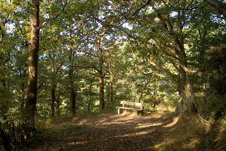 Belvédère La Corniche