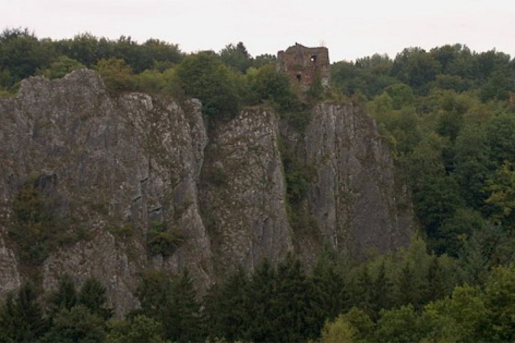 Ruines du Château d'Amblève