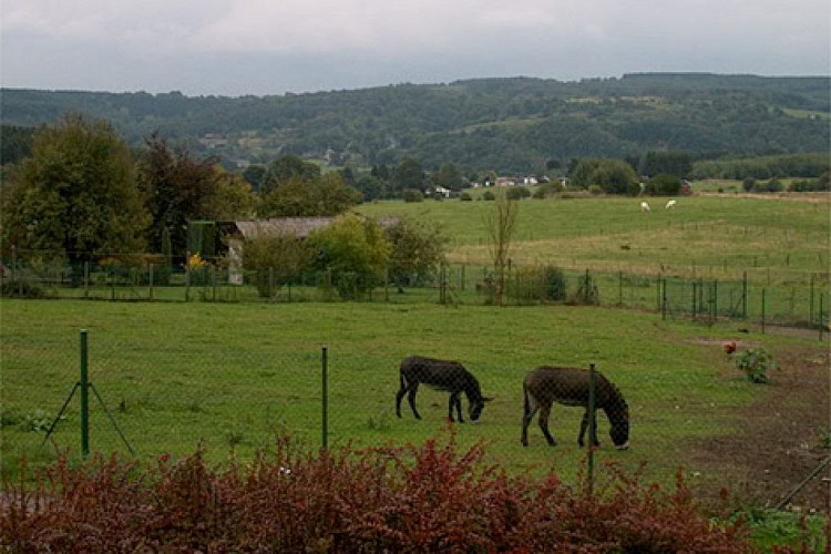 Point de Vue d'Awan