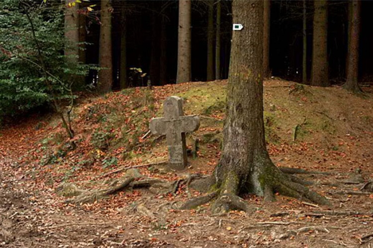 Arbre et Croix St Christophe