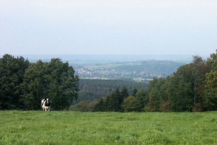 Point de Vue Warmonfosse