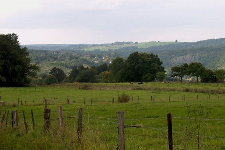 Point de vue de Kin