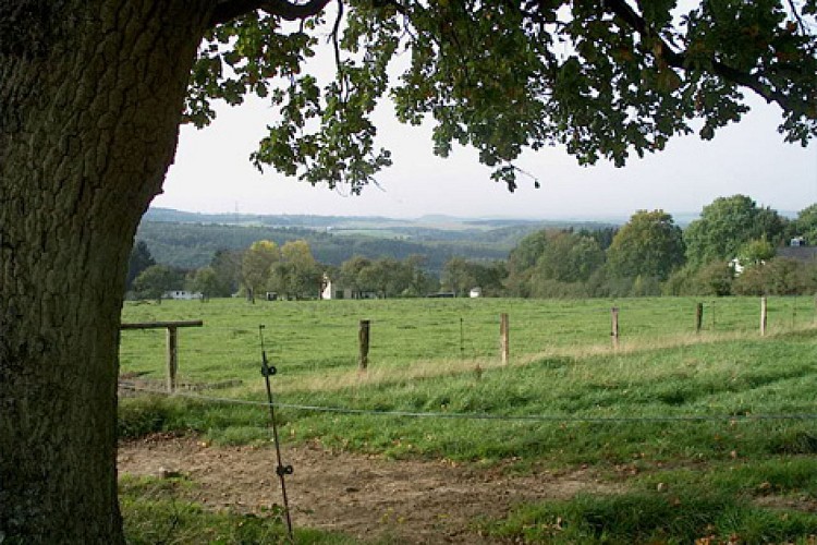 Point de Vue Saint Roch