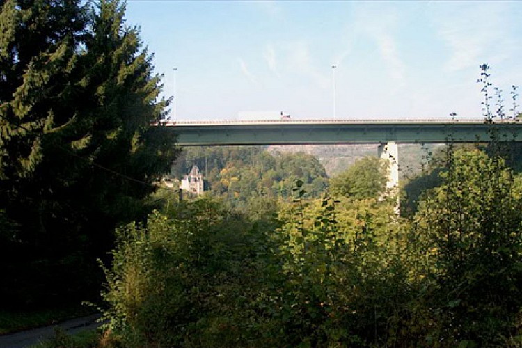 Point de vue de Remouchamps