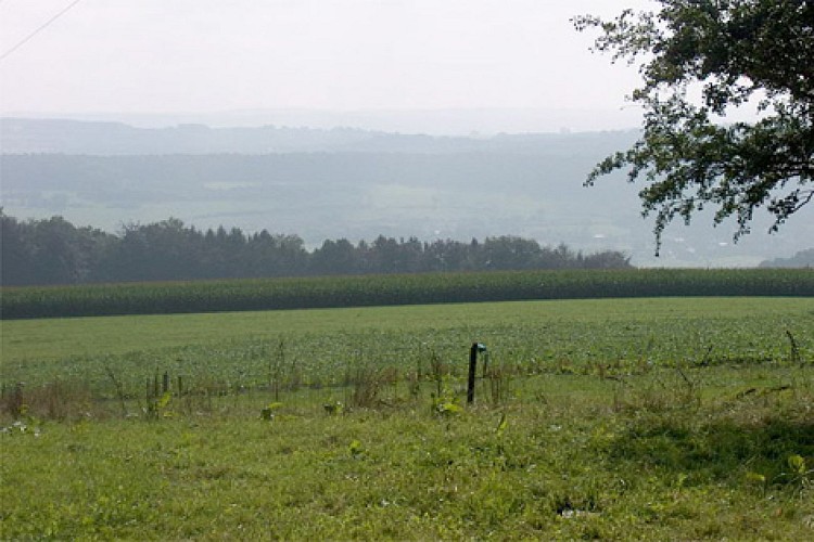 Belvédère Houp Le Loup