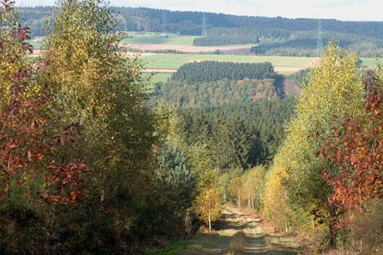 Réserve naturelle du Thier