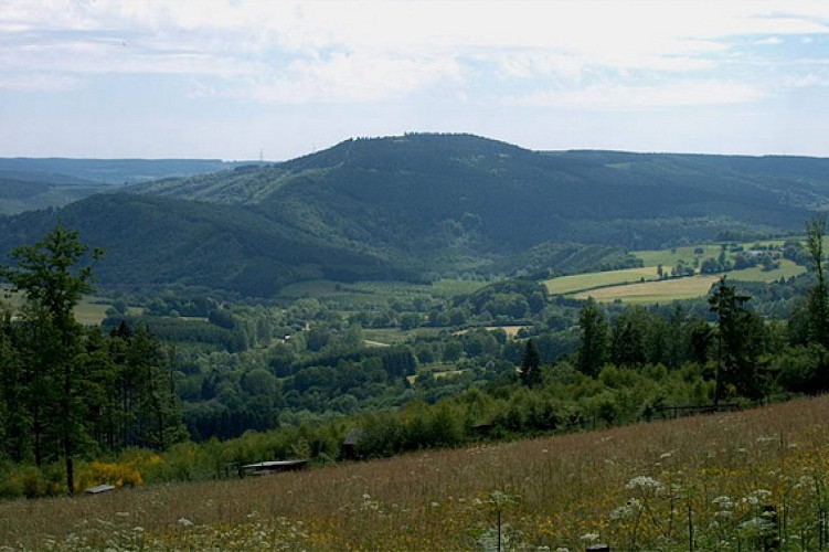 Point de Vue Moulin du Ruy