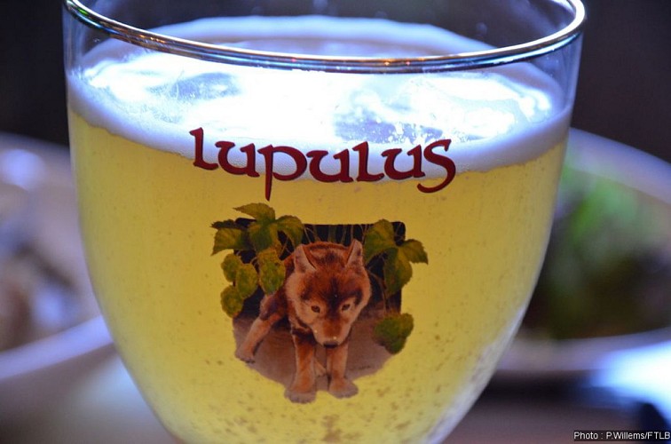 Lupulus... Ardens Trippel Bier