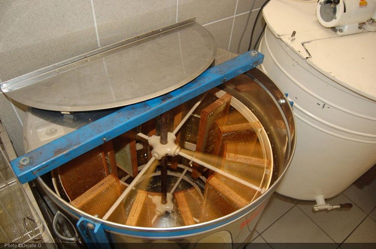 Photos 280806 117.jpg