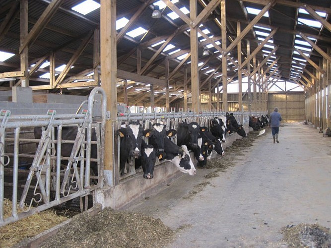 Herbesthal ferienwohnung aux reves de la honien 11 c aux reves de la honien