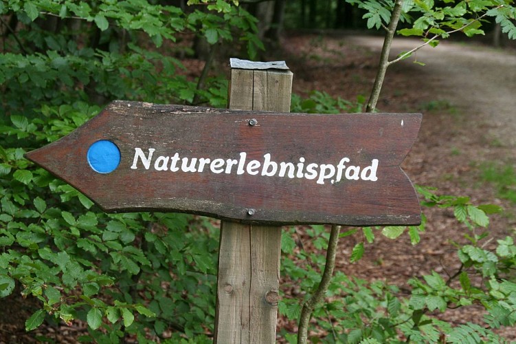 Heppenbach naturerlebnispfad 03 c ostbelgien.eu