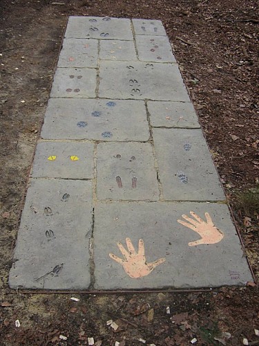 Heppenbach naturerlebnispfad 43 c ostbelgien.eu