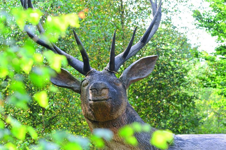 Heppenbach naturerlebnispfad 49 c pierre pauquay