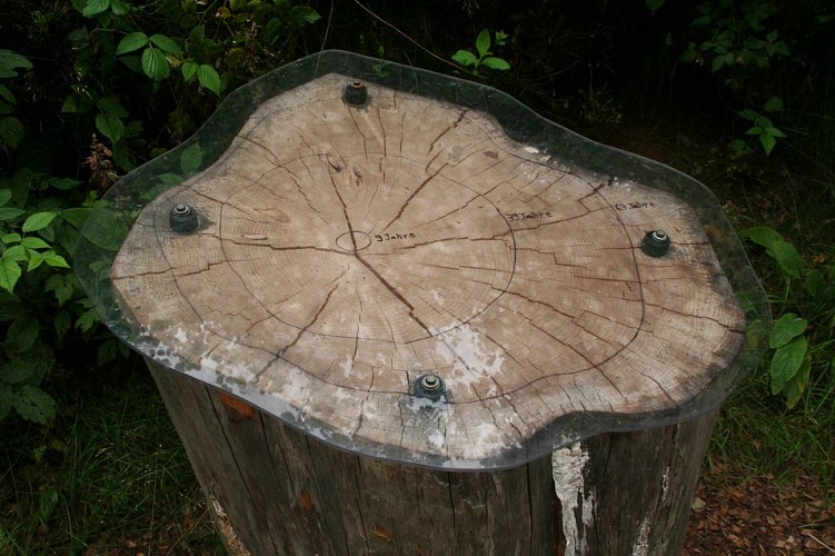 Heppenbach naturerlebnispfad 25 c www.ostbelgien.eu