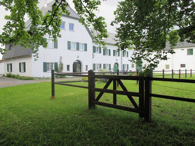 Amel b b gut eidt 01 c gut eidt