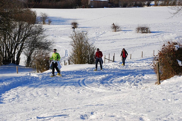 Ski manderfeld 17 c jw eastbelgium.com