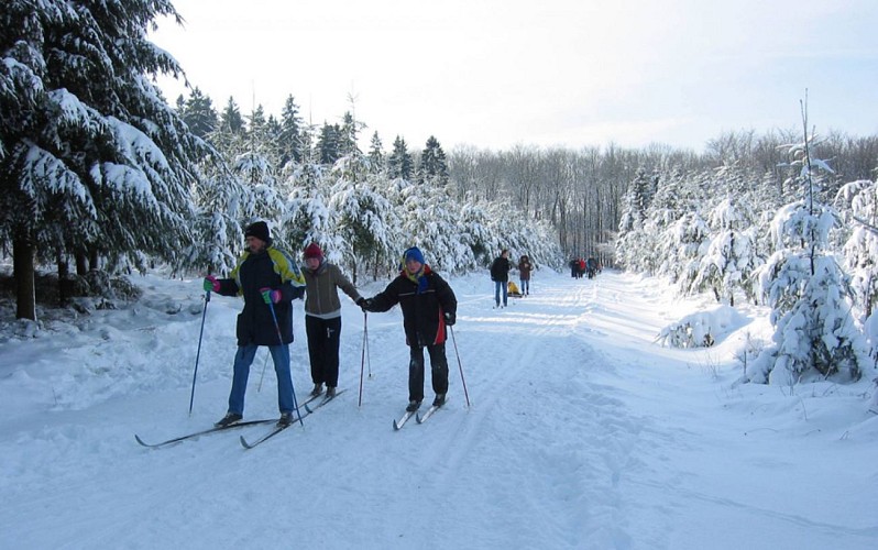 Skizentrum manderfeld langlaufski 04 c vv manderfeld