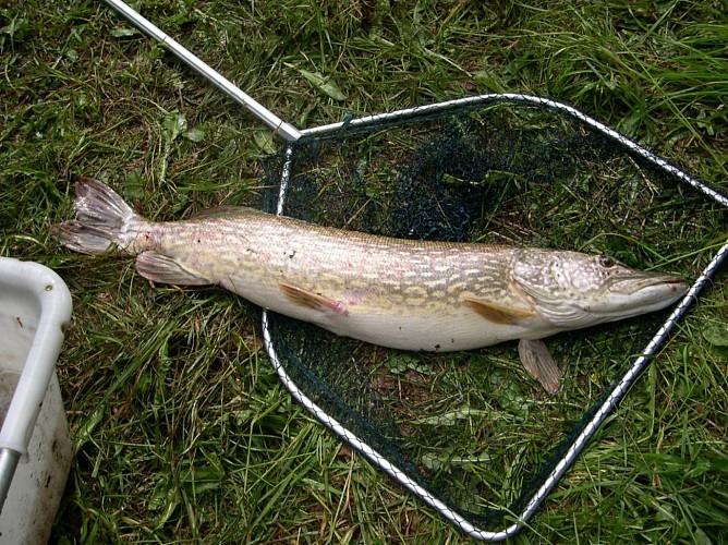 Ostbelgien angeln 11 c eastbelgium.com