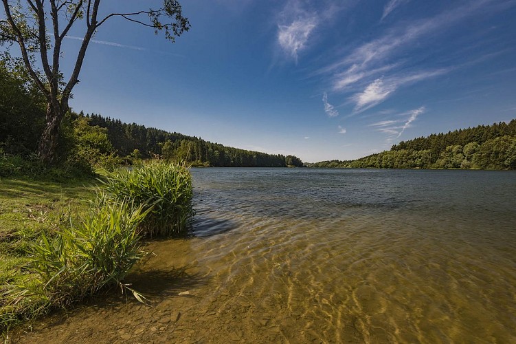 Lac de Bütgenbach - Vue nature du lac