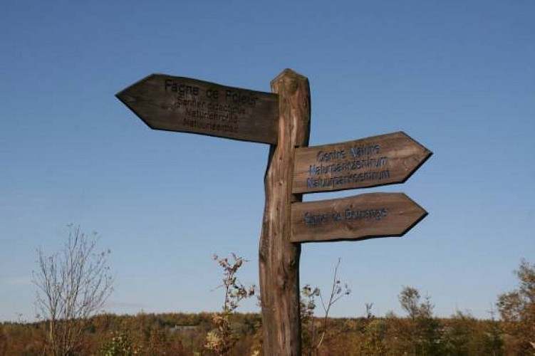 Hohes venn polleur venn 02 c eastbelgium.com